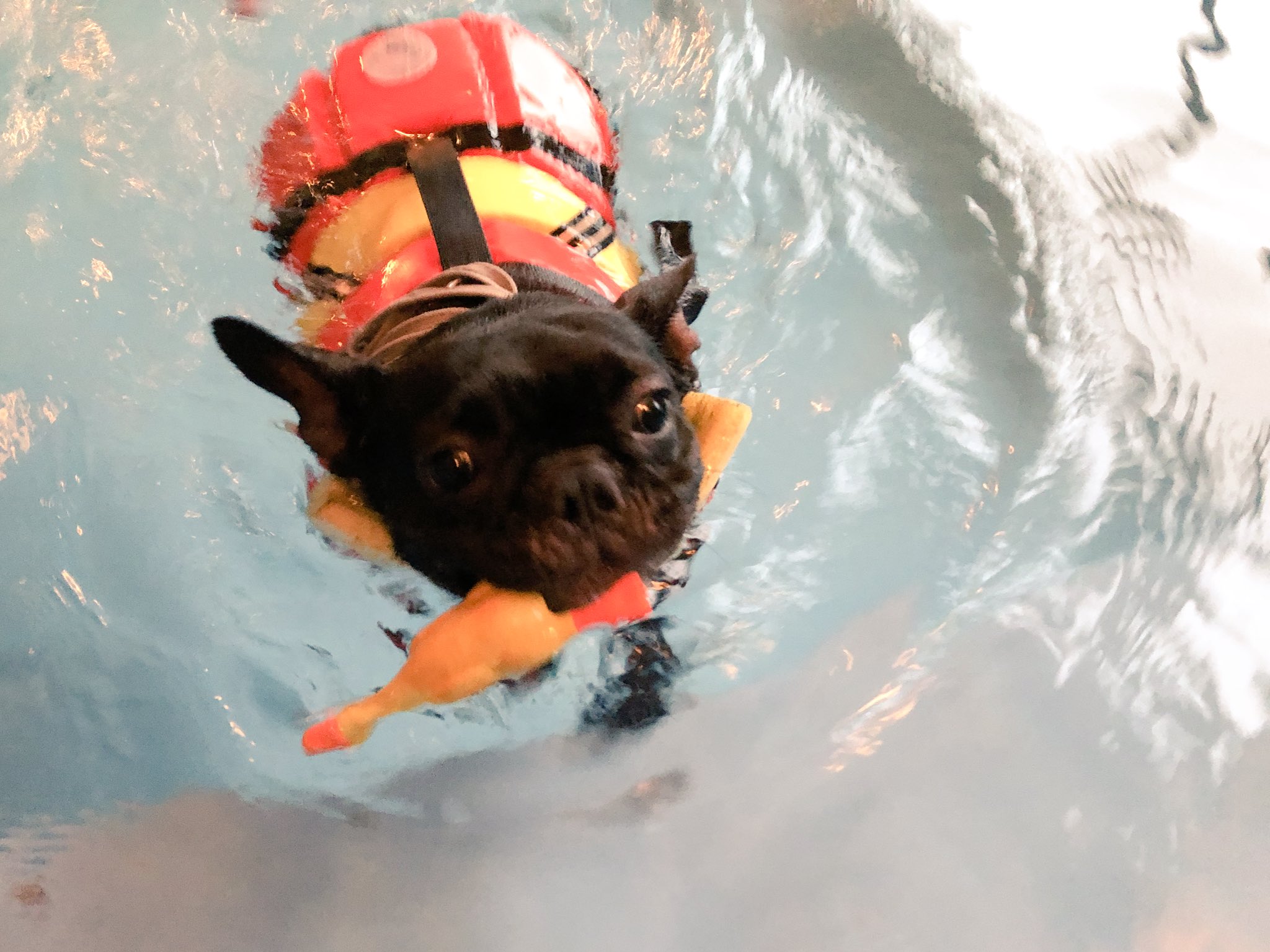 日本coser-いくみ – (193iKkyu3) [Twitter] (10.11.2022) [2476P116V-1.04GB]_第70集