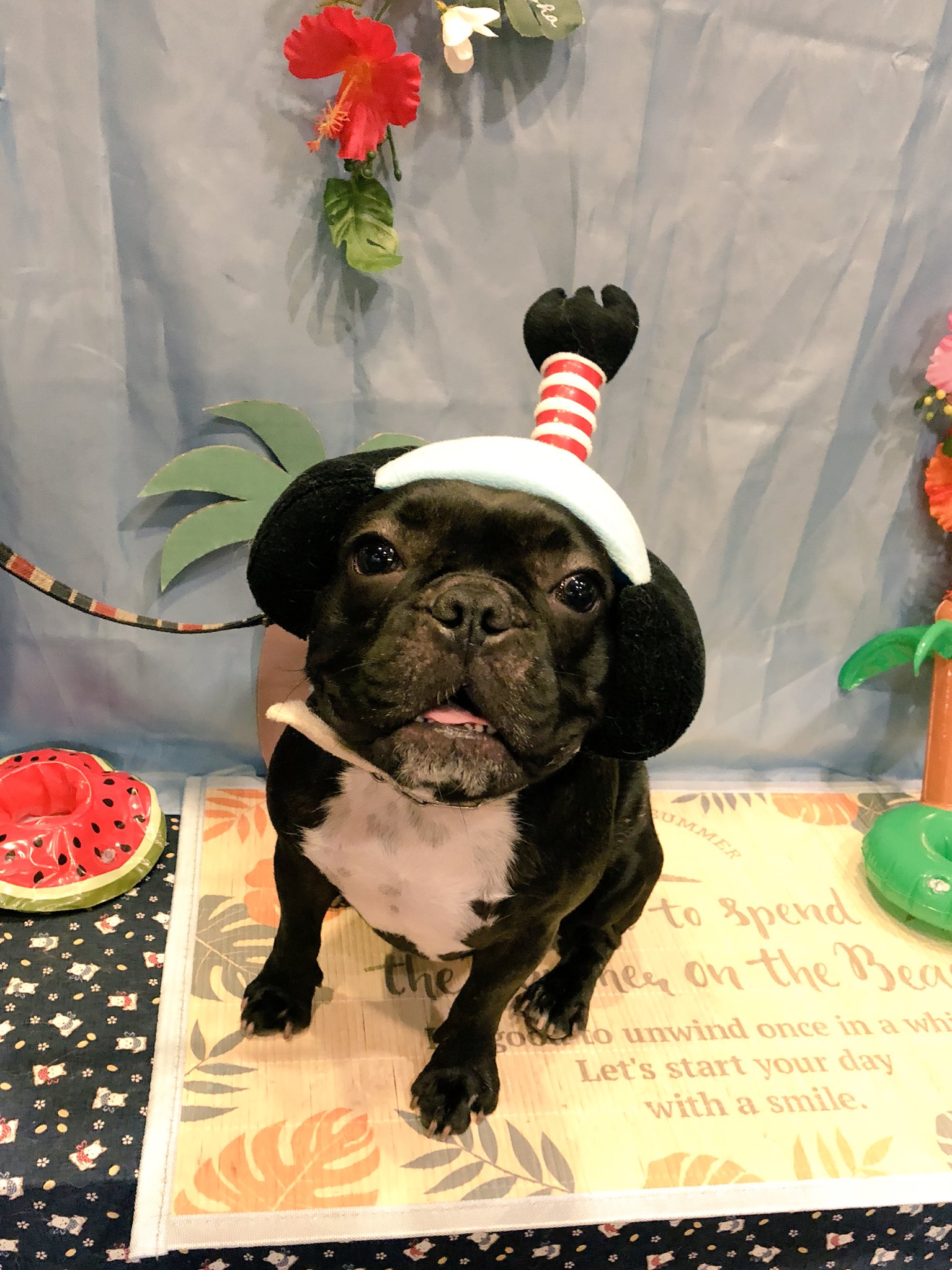 日本coser-いくみ – (193iKkyu3) [Twitter] (10.11.2022) [2476P116V-1.04GB]_第70集