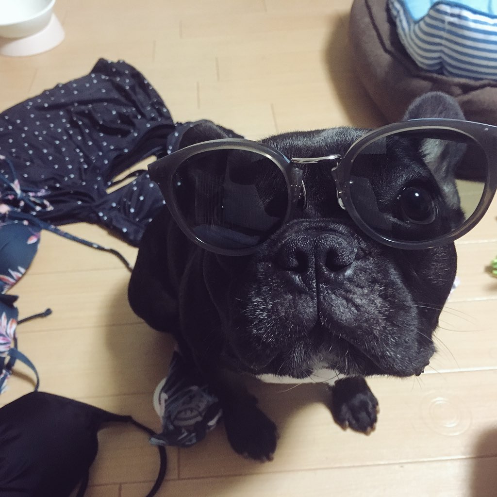 日本coser-いくみ – (193iKkyu3) [Twitter] (10.11.2022) [2476P116V-1.04GB]_第73集