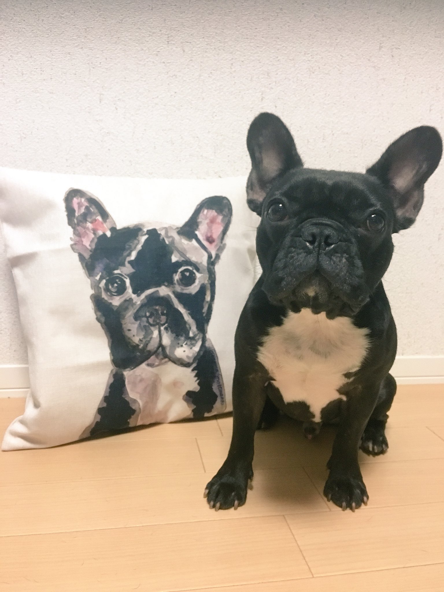 日本coser-いくみ – (193iKkyu3) [Twitter] (10.11.2022) [2476P116V-1.04GB]_第73集