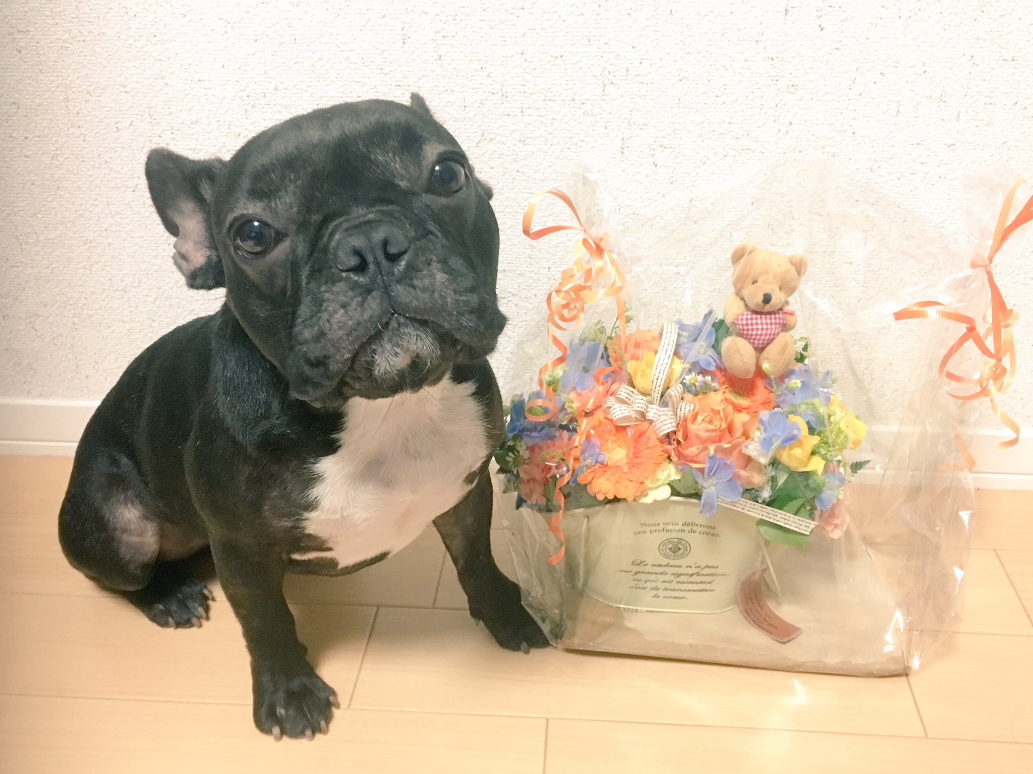 日本coser-いくみ – (193iKkyu3) [Twitter] (10.11.2022) [2476P116V-1.04GB]_第74集