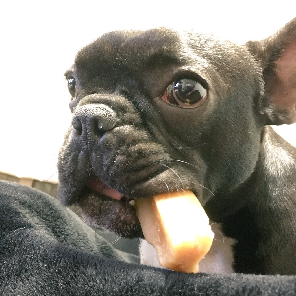 日本coser-いくみ – (193iKkyu3) [Twitter] (10.11.2022) [2476P116V-1.04GB]_第74集