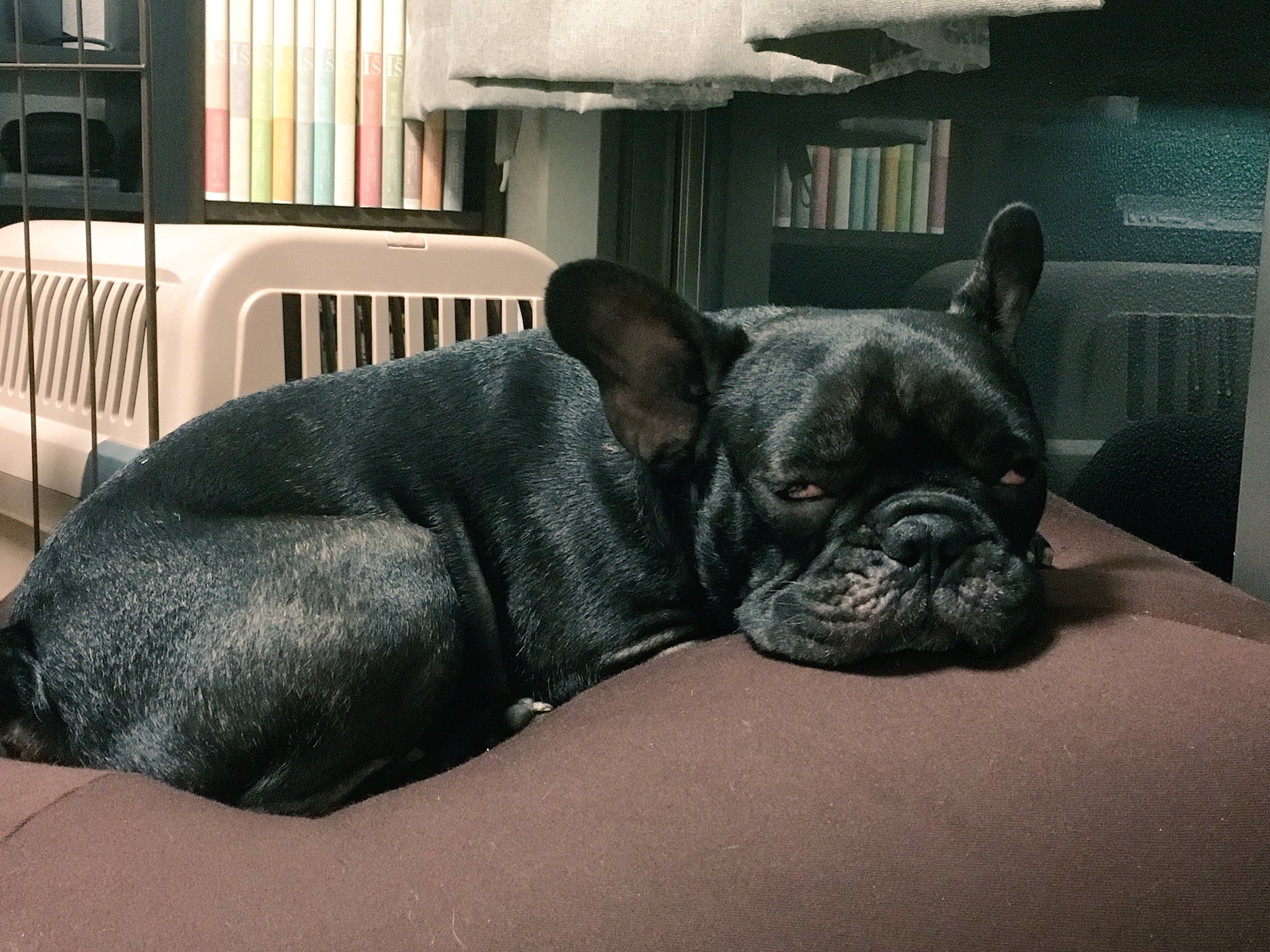 日本coser-いくみ – (193iKkyu3) [Twitter] (10.11.2022) [2476P116V-1.04GB]_第74集