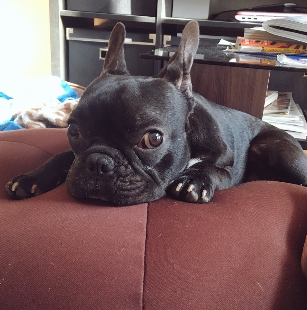 日本coser-いくみ – (193iKkyu3) [Twitter] (10.11.2022) [2476P116V-1.04GB]_第76集