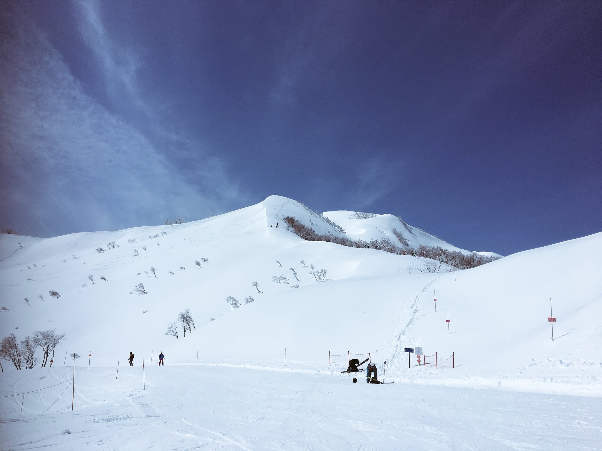 日本coser-いくみ – (193iKkyu3) [Twitter] (10.11.2022) [2476P116V-1.04GB]_第76集