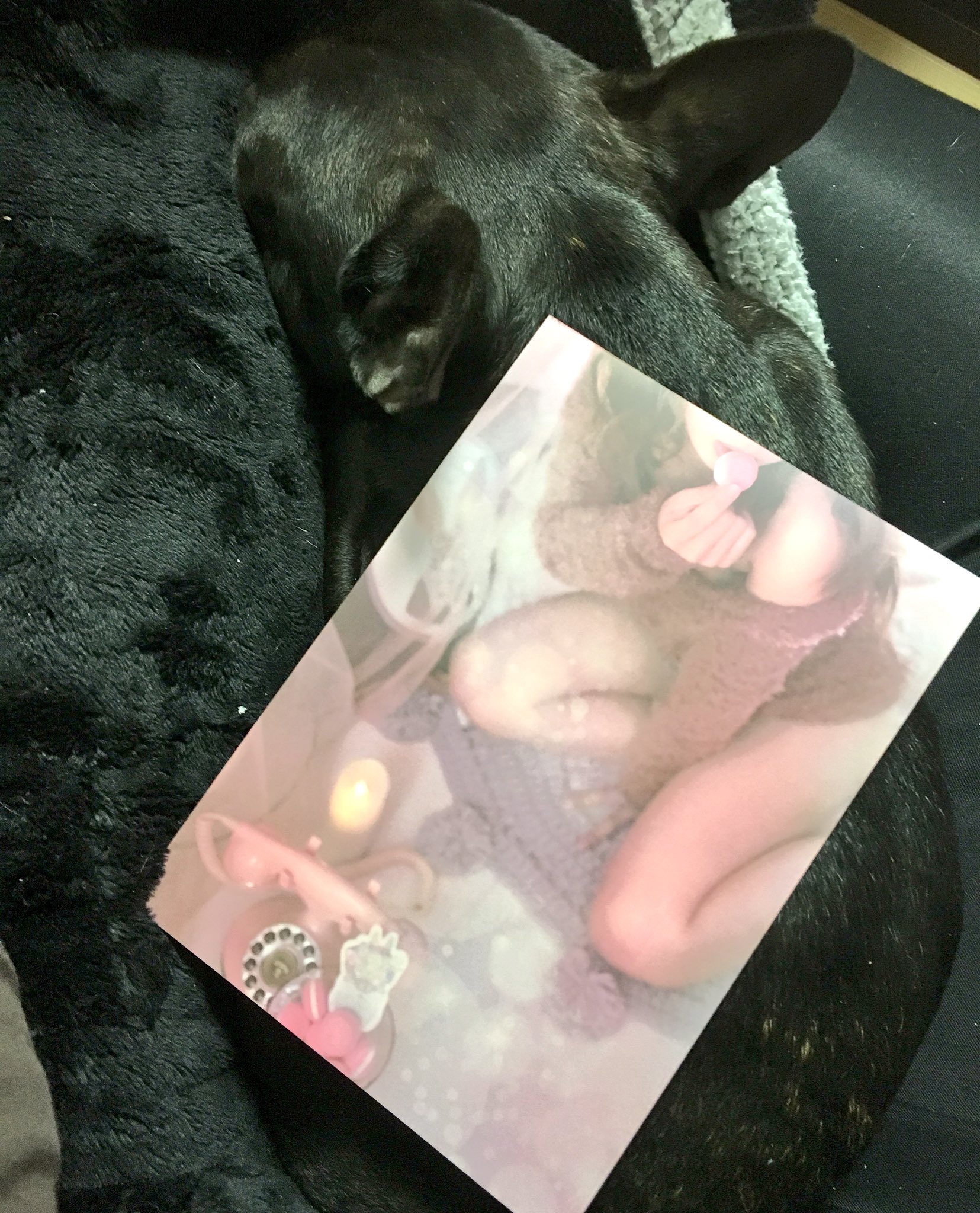 日本coser-いくみ – (193iKkyu3) [Twitter] (10.11.2022) [2476P116V-1.04GB]_第77集