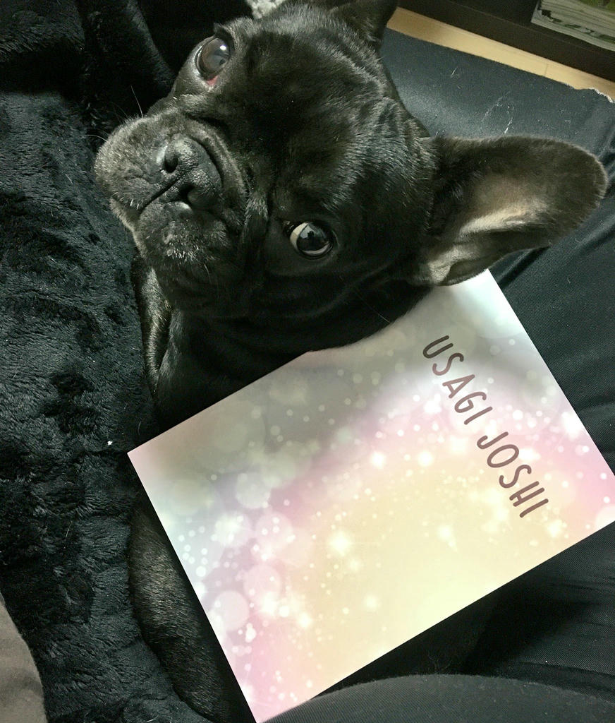 日本coser-いくみ – (193iKkyu3) [Twitter] (10.11.2022) [2476P116V-1.04GB]_第77集