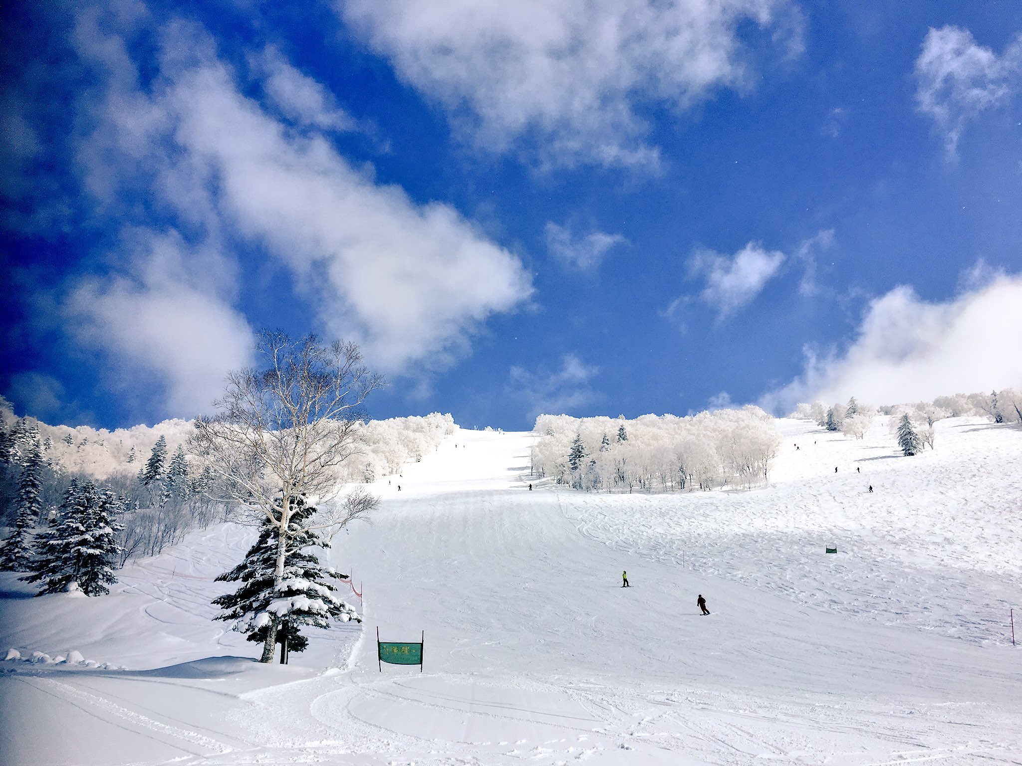 日本coser-いくみ – (193iKkyu3) [Twitter] (10.11.2022) [2476P116V-1.04GB]_第77集