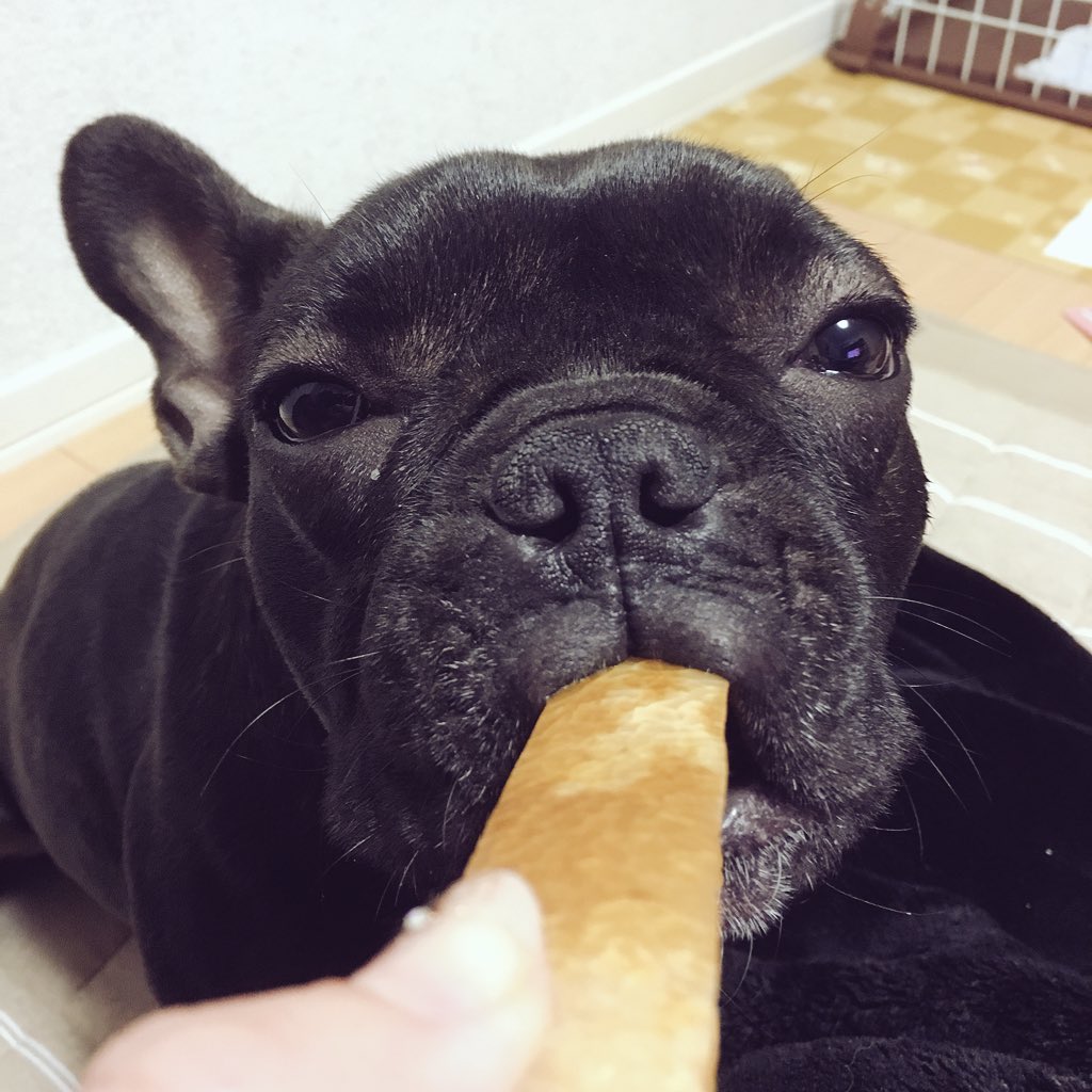 日本coser-いくみ – (193iKkyu3) [Twitter] (10.11.2022) [2476P116V-1.04GB]_第78集