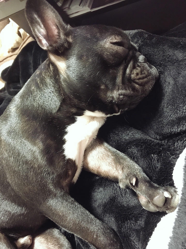 日本coser-いくみ – (193iKkyu3) [Twitter] (10.11.2022) [2476P116V-1.04GB]_第78集