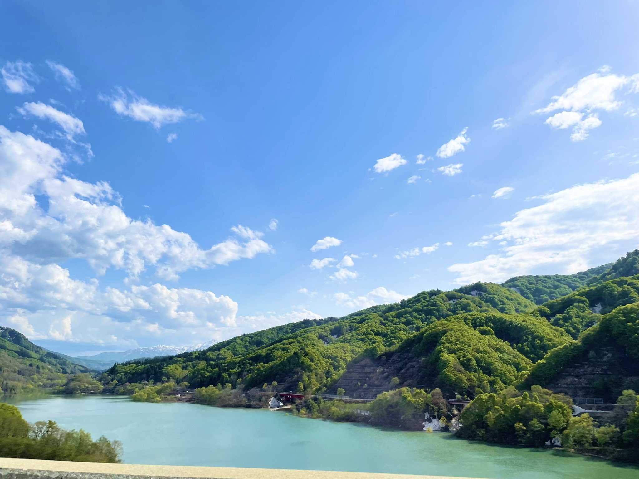 日本coser-いくみ – (193iKkyu3) [Twitter] (10.11.2022) [2476P116V-1.04GB]_第8集