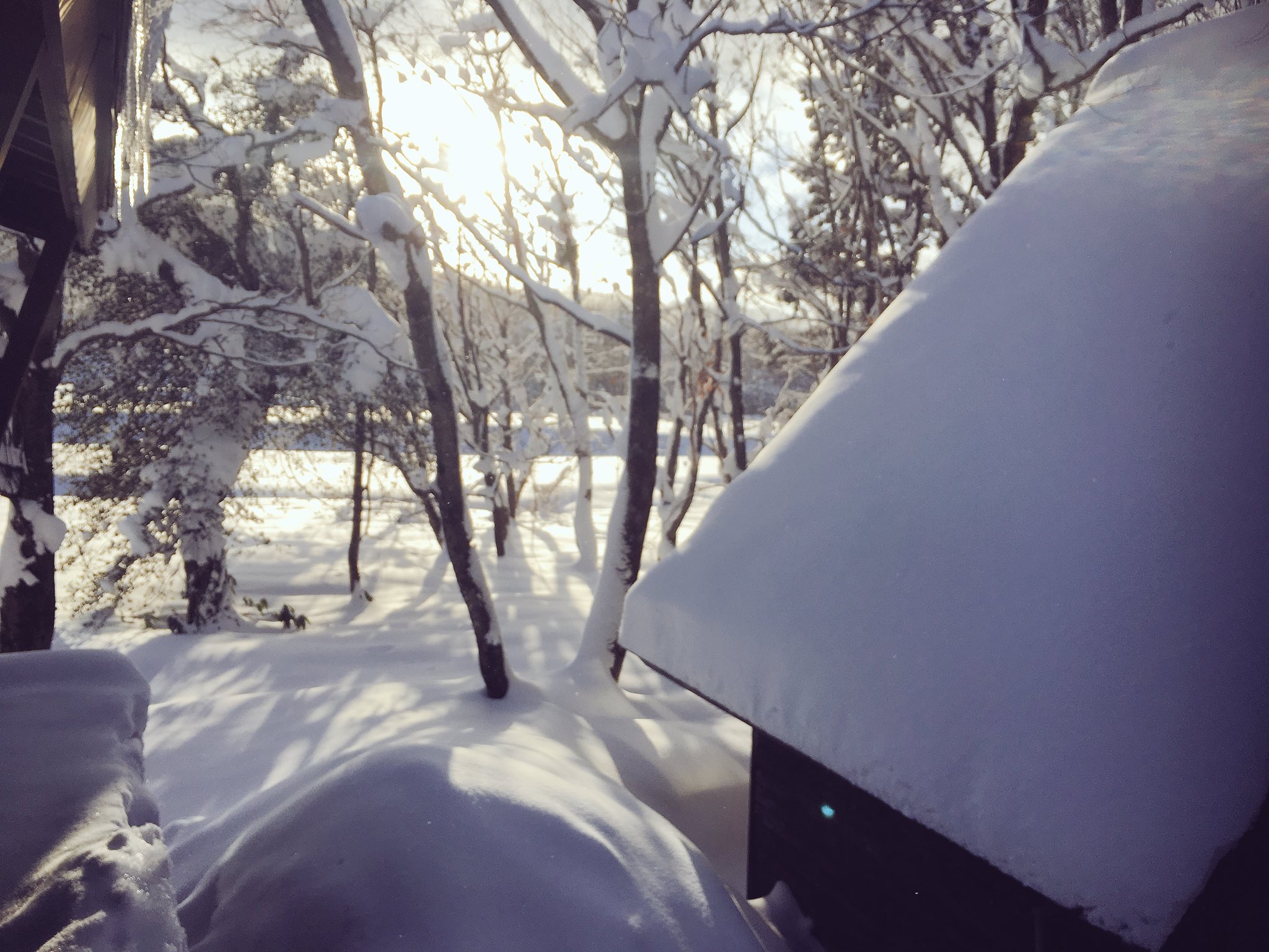 日本coser-いくみ – (193iKkyu3) [Twitter] (10.11.2022) [2476P116V-1.04GB]_第80集