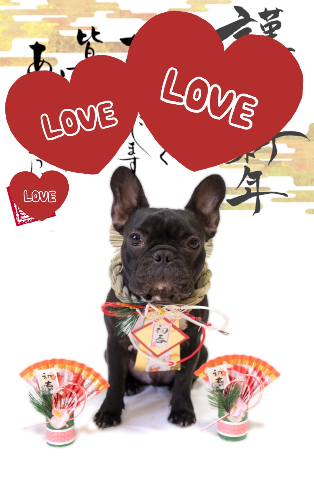 日本coser-いくみ – (193iKkyu3) [Twitter] (10.11.2022) [2476P116V-1.04GB]_第80集