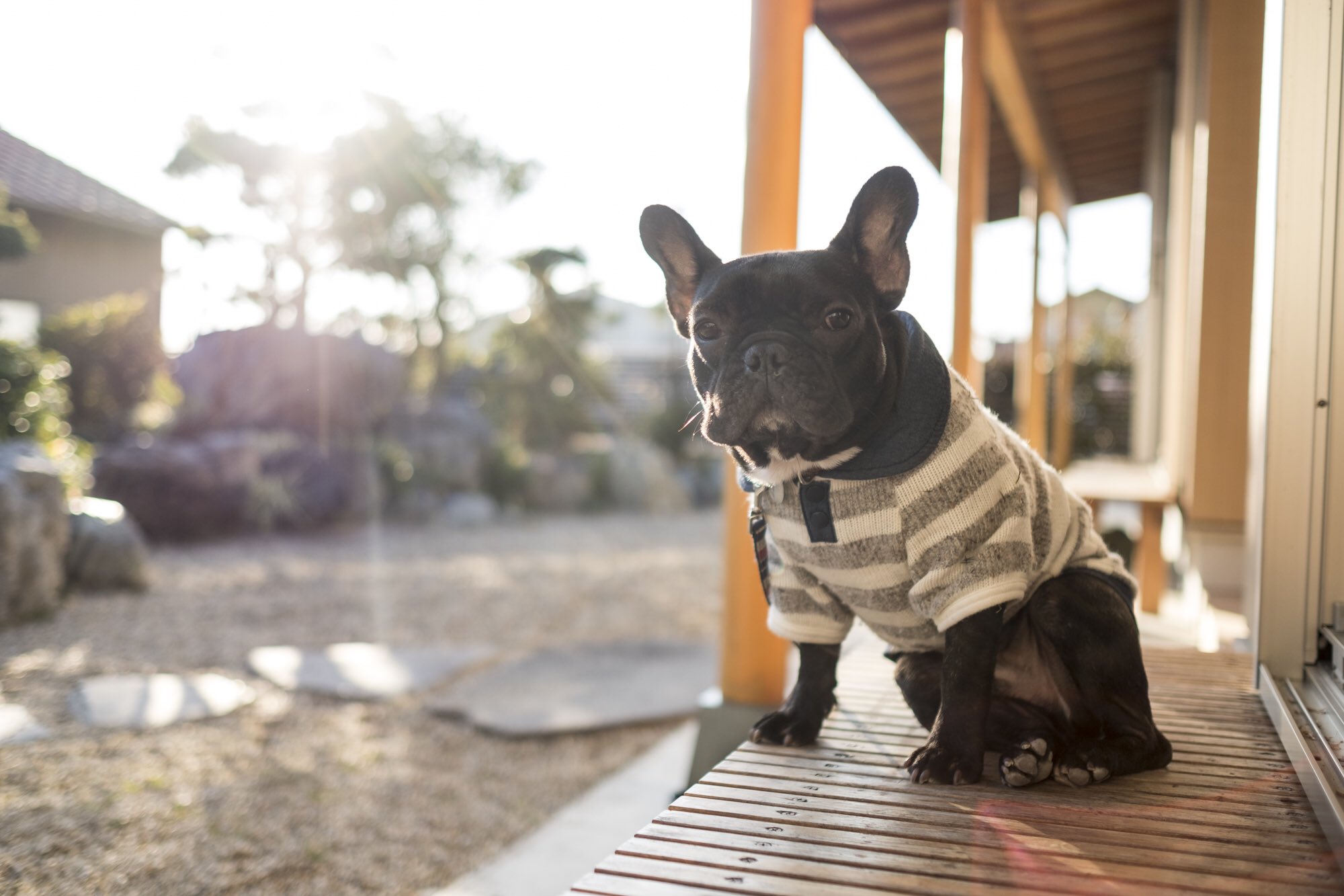 日本coser-いくみ – (193iKkyu3) [Twitter] (10.11.2022) [2476P116V-1.04GB]_第81集