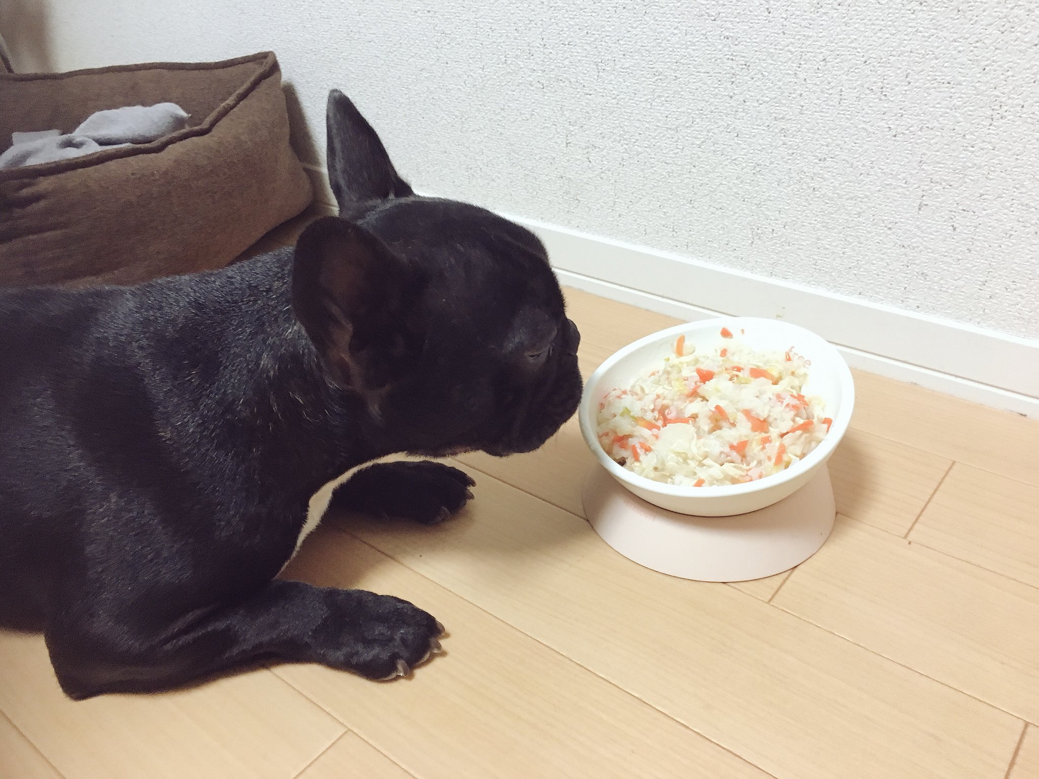 日本coser-いくみ – (193iKkyu3) [Twitter] (10.11.2022) [2476P116V-1.04GB]_第82集