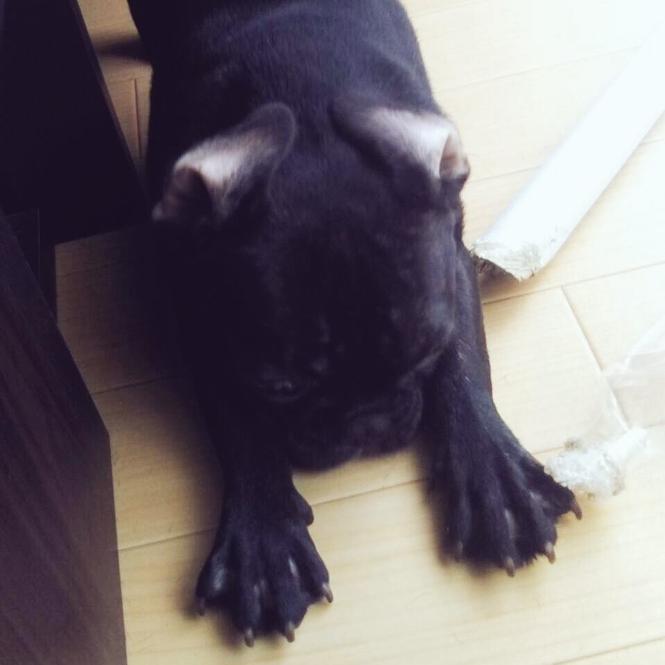 日本coser-いくみ – (193iKkyu3) [Twitter] (10.11.2022) [2476P116V-1.04GB]_第82集