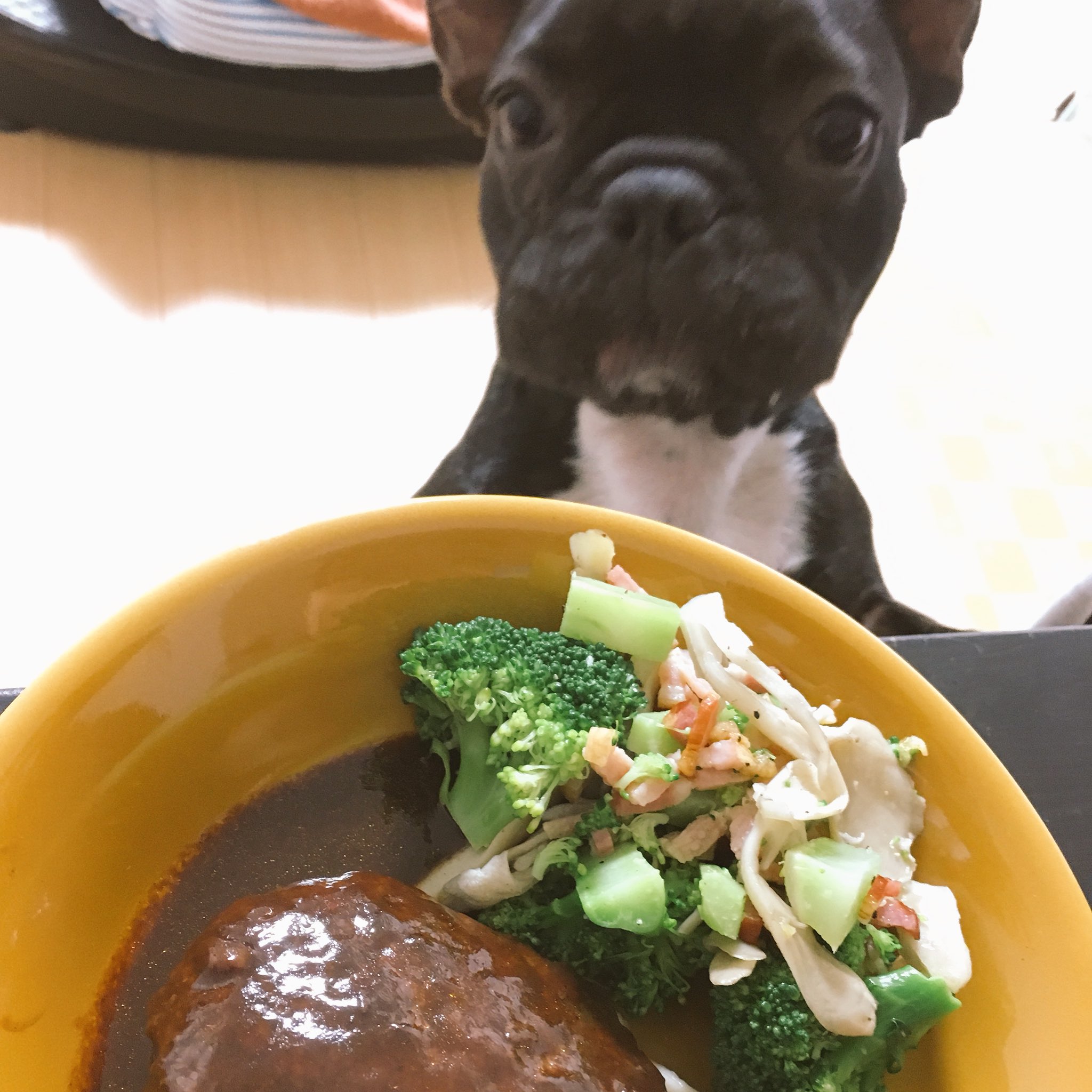 日本coser-いくみ – (193iKkyu3) [Twitter] (10.11.2022) [2476P116V-1.04GB]_第83集