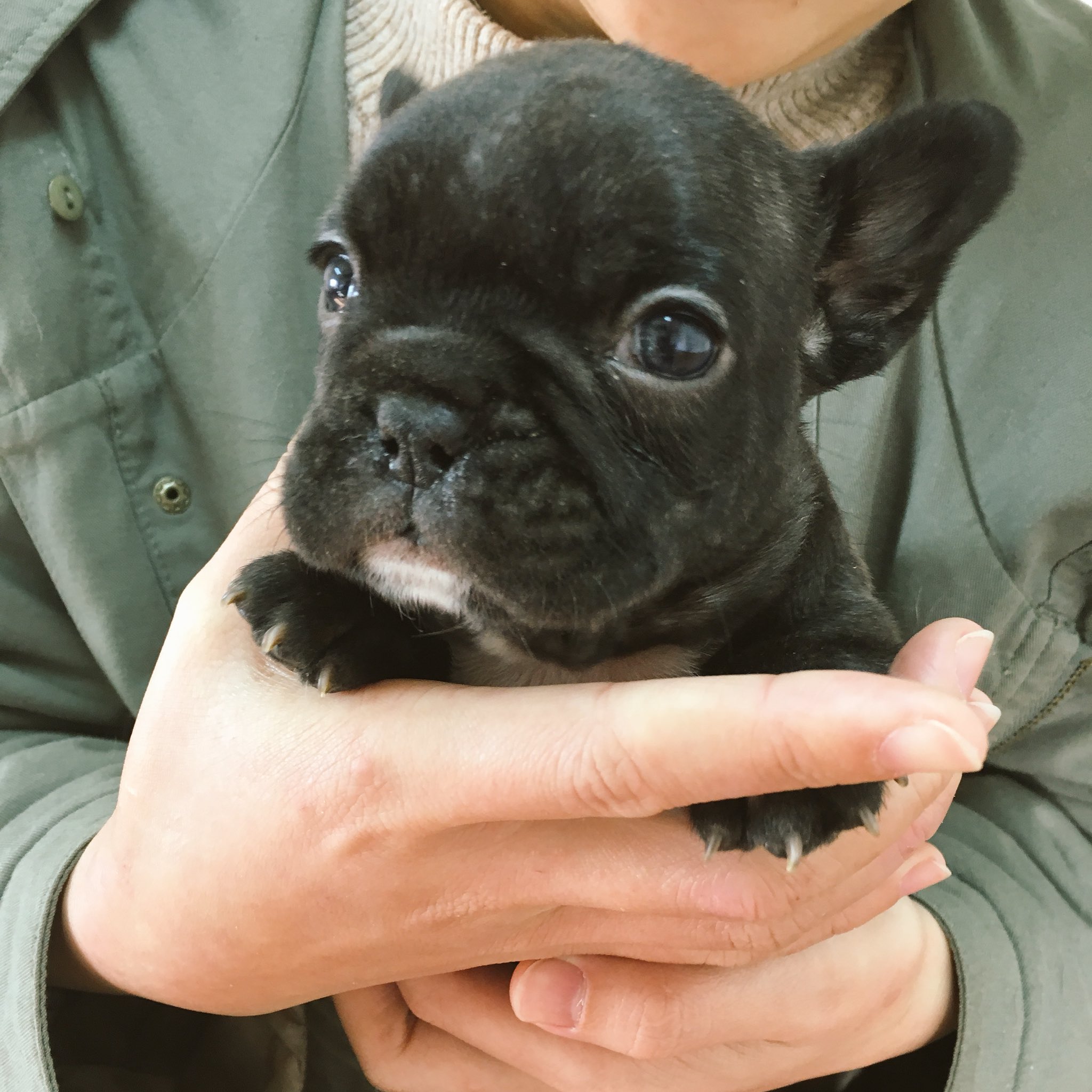 日本coser-いくみ – (193iKkyu3) [Twitter] (10.11.2022) [2476P116V-1.04GB]_第84集