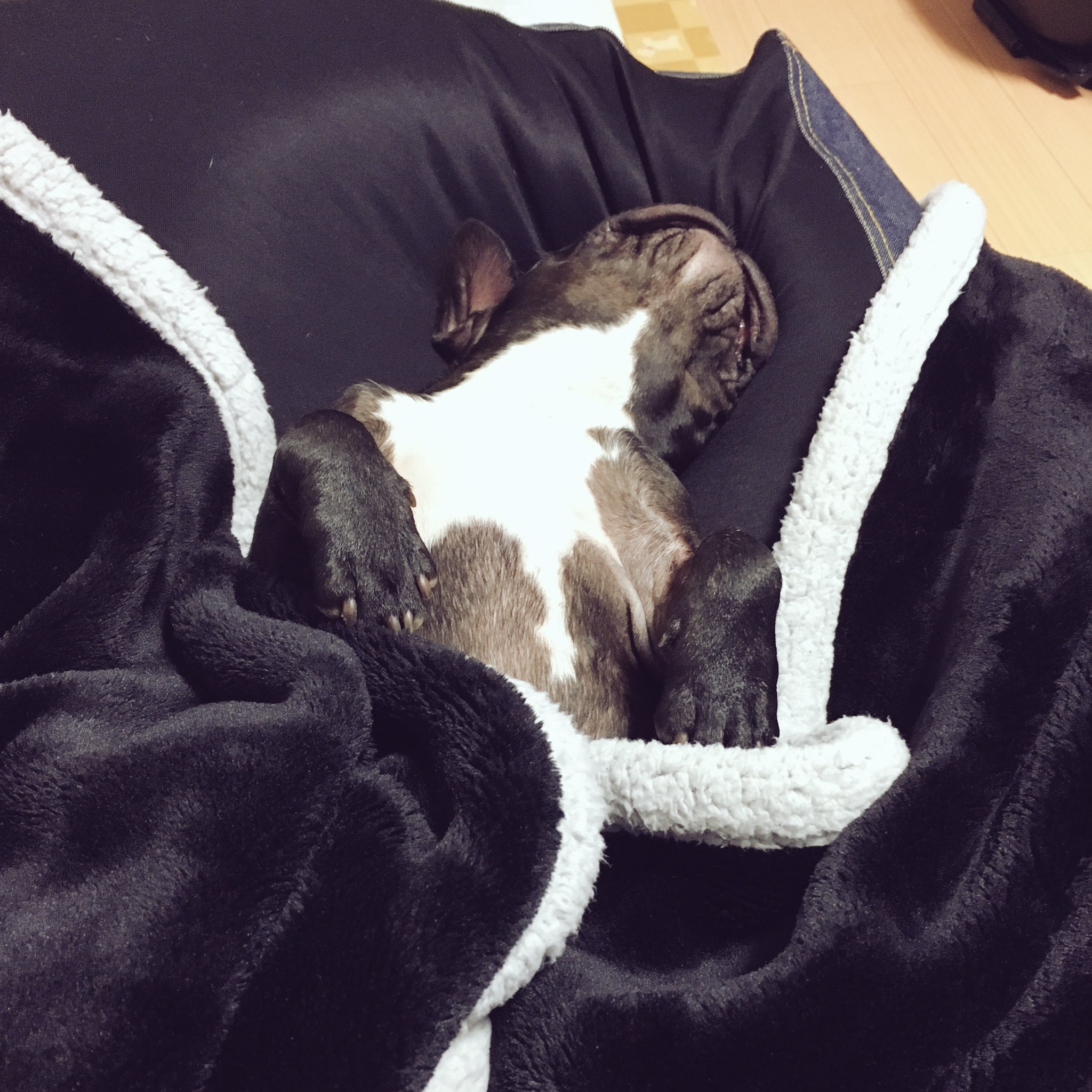 日本coser-いくみ – (193iKkyu3) [Twitter] (10.11.2022) [2476P116V-1.04GB]_第84集