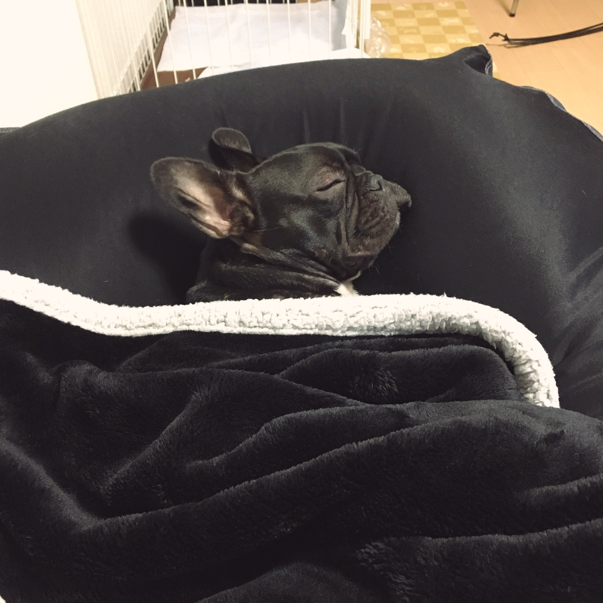 日本coser-いくみ – (193iKkyu3) [Twitter] (10.11.2022) [2476P116V-1.04GB]_第84集