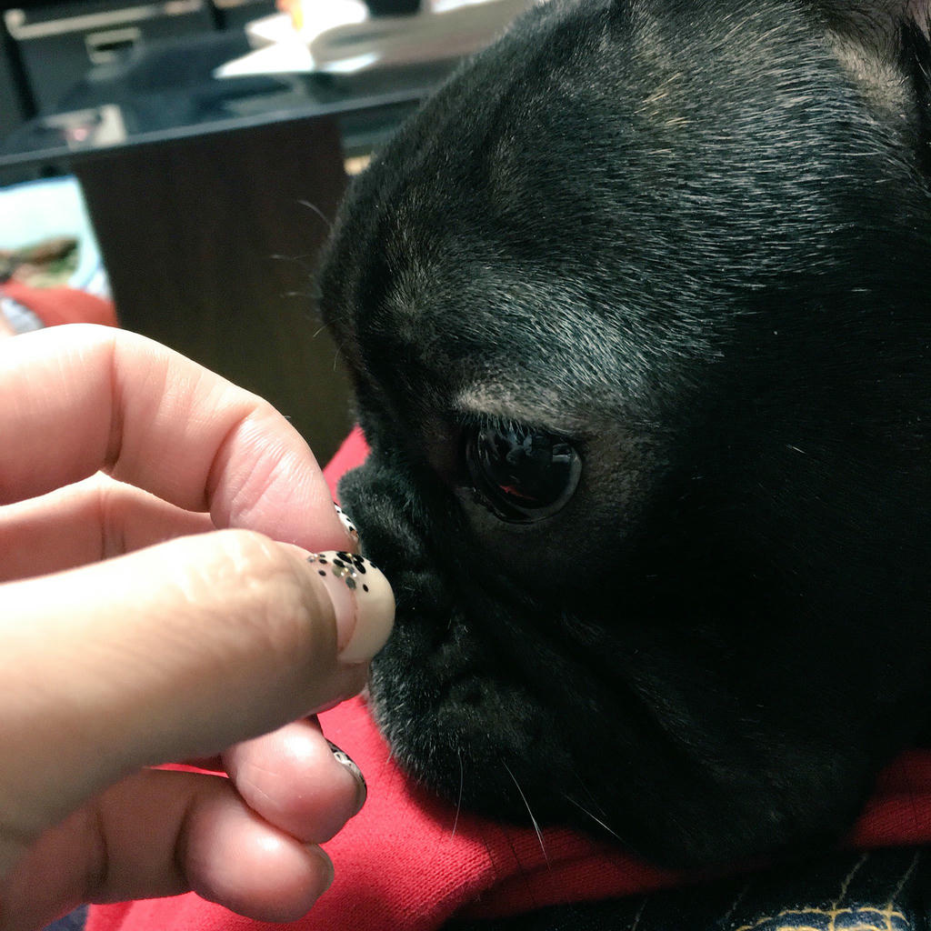 日本coser-いくみ – (193iKkyu3) [Twitter] (10.11.2022) [2476P116V-1.04GB]_第85集