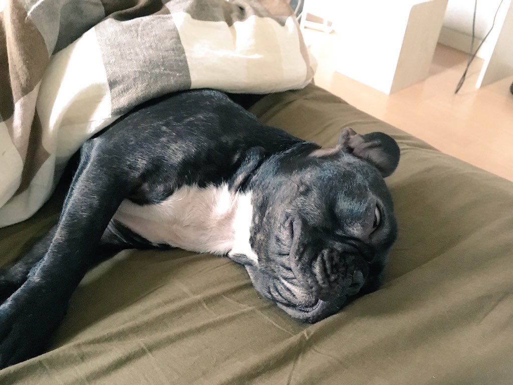 日本coser-いくみ – (193iKkyu3) [Twitter] (10.11.2022) [2476P116V-1.04GB]_第85集