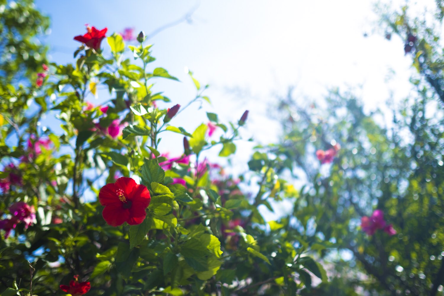 日本coser-いくみ – (193iKkyu3) [Twitter] (10.11.2022) [2476P116V-1.04GB]_第86集