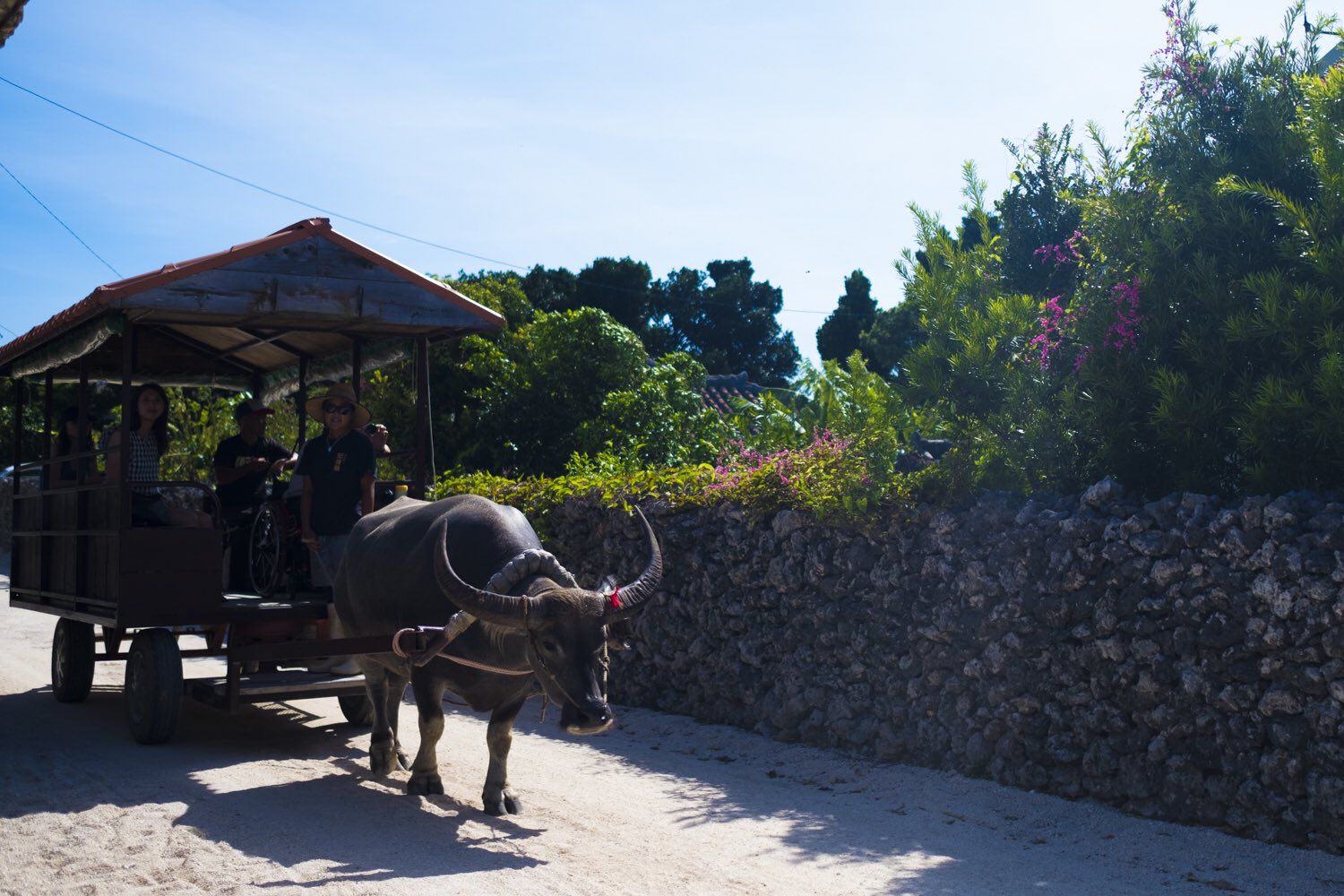 日本coser-いくみ – (193iKkyu3) [Twitter] (10.11.2022) [2476P116V-1.04GB]_第86集