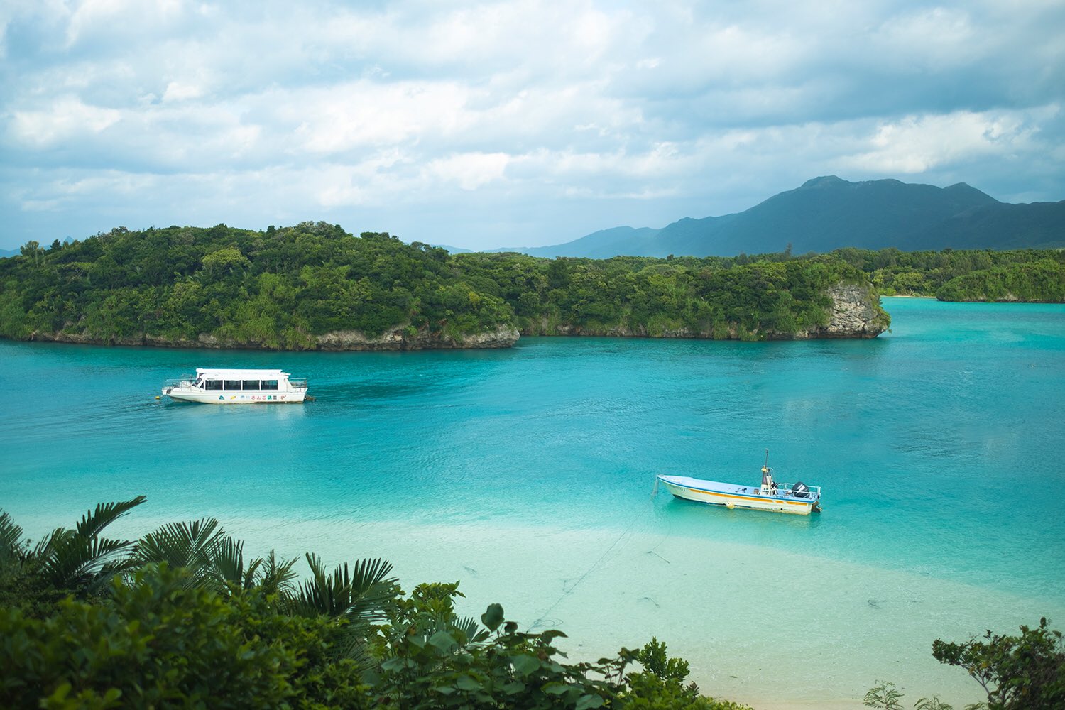 日本coser-いくみ – (193iKkyu3) [Twitter] (10.11.2022) [2476P116V-1.04GB]_第86集