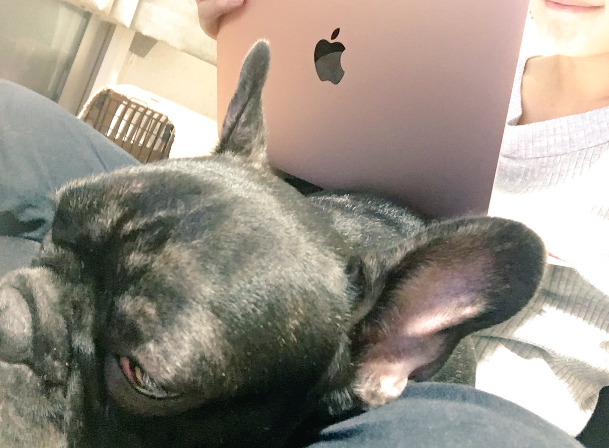 日本coser-いくみ – (193iKkyu3) [Twitter] (10.11.2022) [2476P116V-1.04GB]_第87集