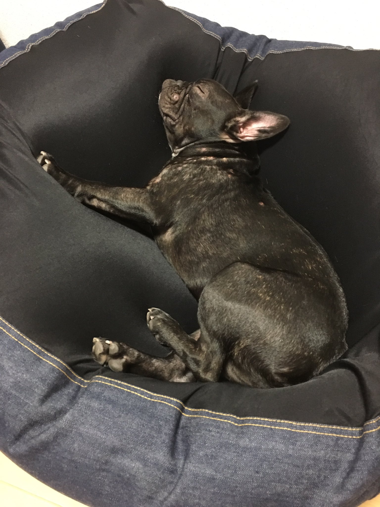 日本coser-いくみ – (193iKkyu3) [Twitter] (10.11.2022) [2476P116V-1.04GB]_第87集