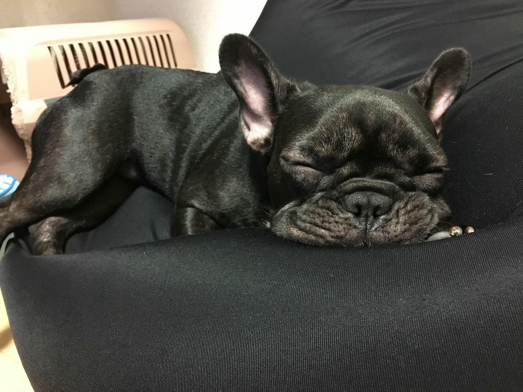 日本coser-いくみ – (193iKkyu3) [Twitter] (10.11.2022) [2476P116V-1.04GB]_第87集