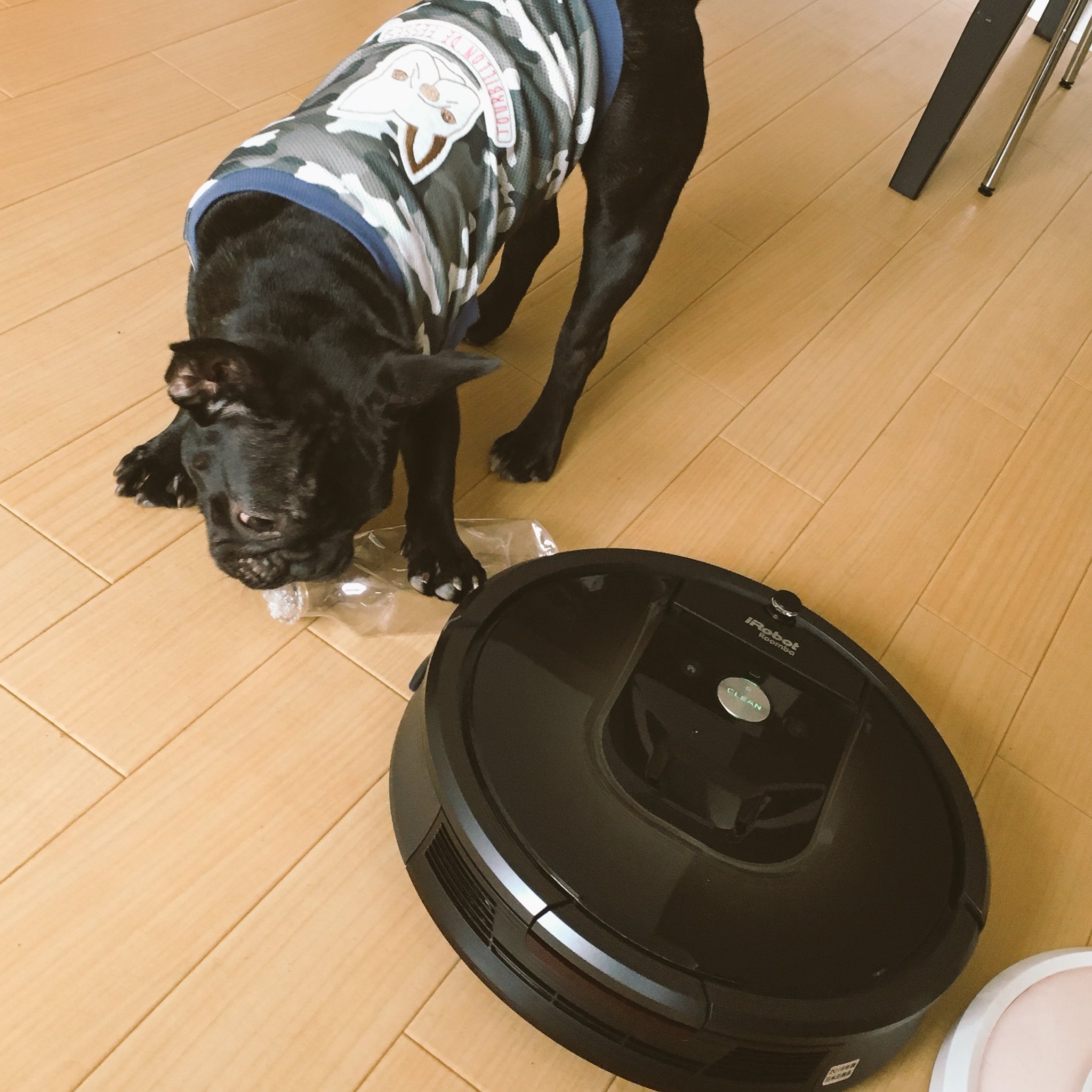 日本coser-いくみ – (193iKkyu3) [Twitter] (10.11.2022) [2476P116V-1.04GB]_第89集