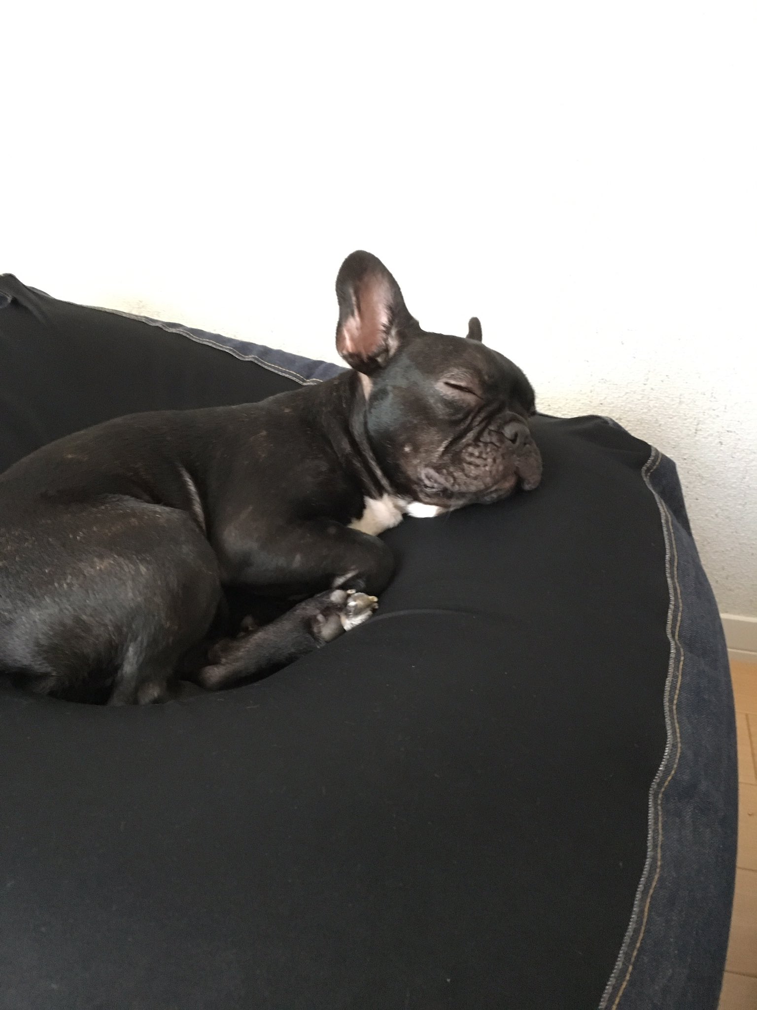 日本coser-いくみ – (193iKkyu3) [Twitter] (10.11.2022) [2476P116V-1.04GB]_第90集