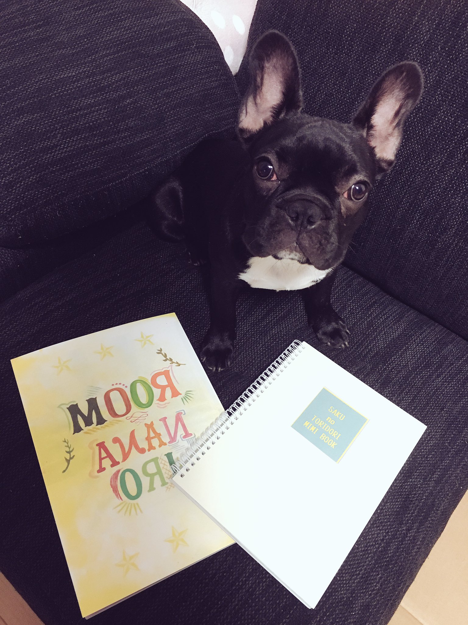 日本coser-いくみ – (193iKkyu3) [Twitter] (10.11.2022) [2476P116V-1.04GB]_第92集