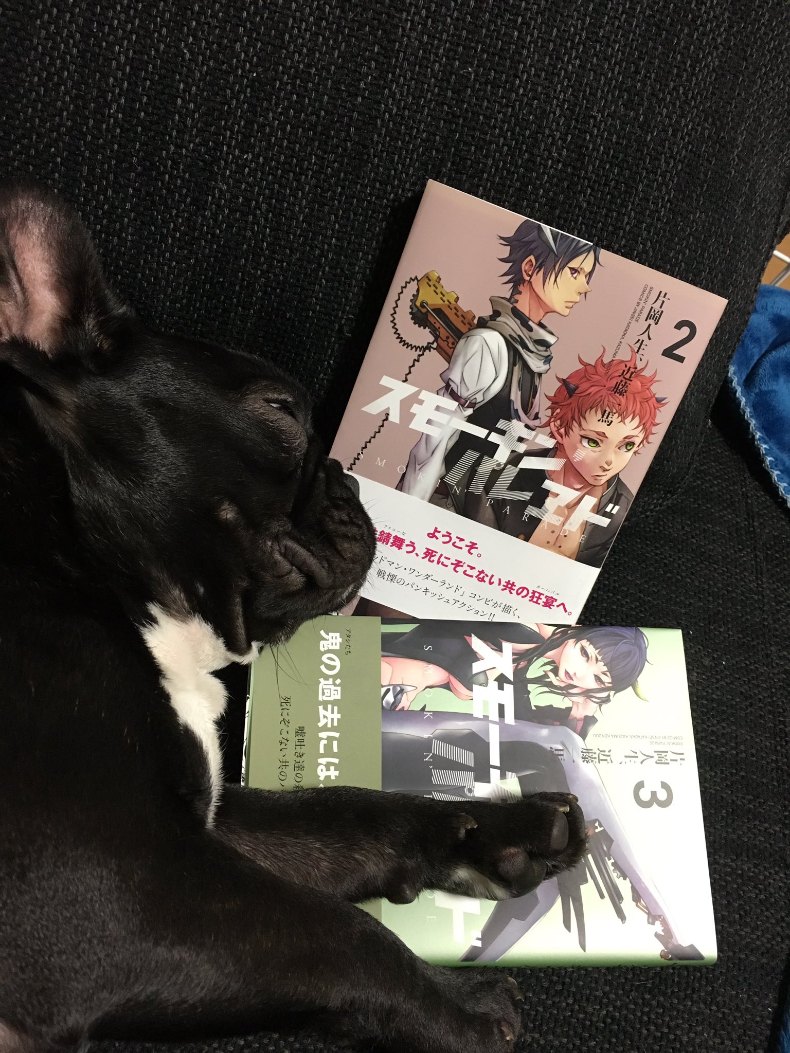 日本coser-いくみ – (193iKkyu3) [Twitter] (10.11.2022) [2476P116V-1.04GB]_第92集