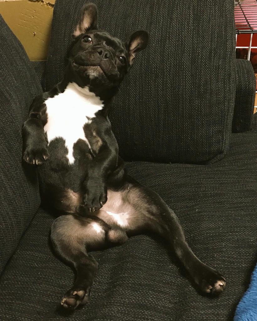 日本coser-いくみ – (193iKkyu3) [Twitter] (10.11.2022) [2476P116V-1.04GB]_第92集