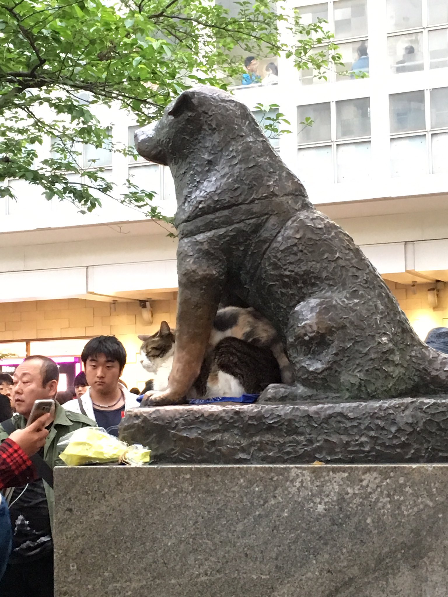 日本coser-いくみ – (193iKkyu3) [Twitter] (10.11.2022) [2476P116V-1.04GB]_第93集