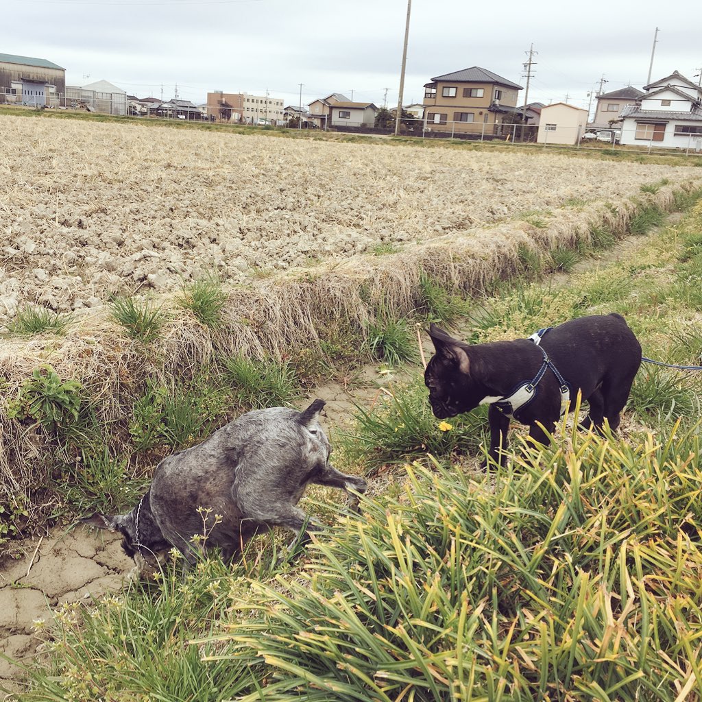 日本coser-いくみ – (193iKkyu3) [Twitter] (10.11.2022) [2476P116V-1.04GB]_第94集