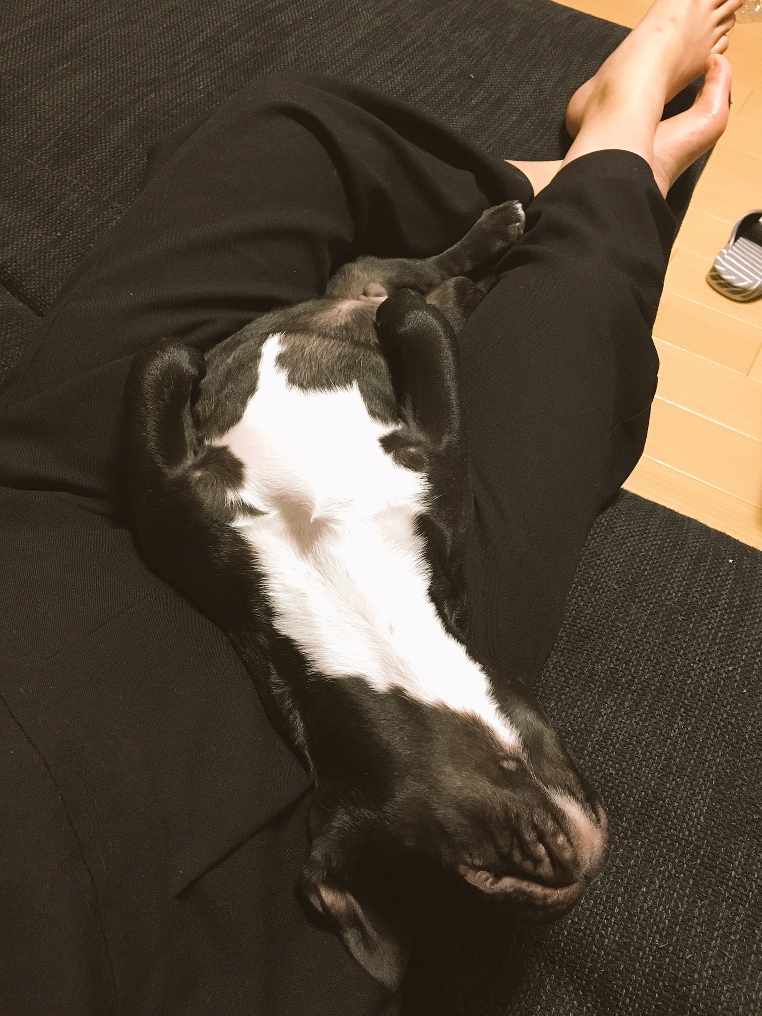 日本coser-いくみ – (193iKkyu3) [Twitter] (10.11.2022) [2476P116V-1.04GB]_第95集