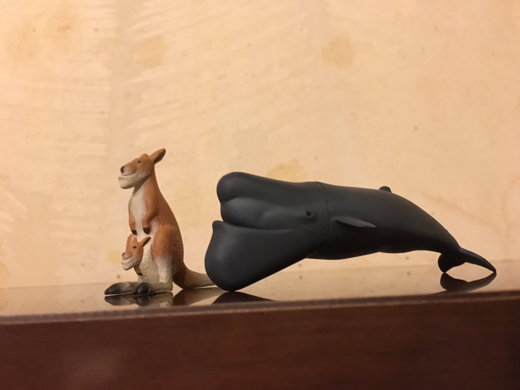 日本coser-いくみ – (193iKkyu3) [Twitter] (10.11.2022) [2476P116V-1.04GB]_第96集