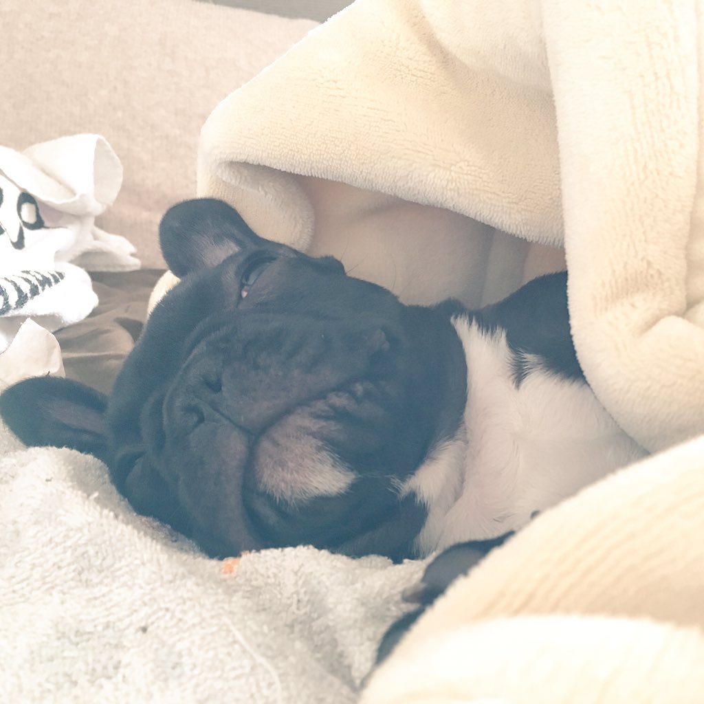 日本coser-いくみ – (193iKkyu3) [Twitter] (10.11.2022) [2476P116V-1.04GB]_第96集