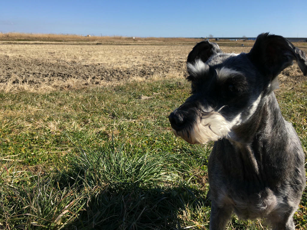 日本coser-いくみ – (193iKkyu3) [Twitter] (10.11.2022) [2476P116V-1.04GB]_第96集