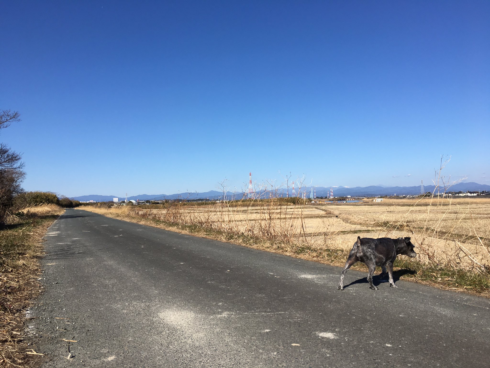 日本coser-いくみ – (193iKkyu3) [Twitter] (10.11.2022) [2476P116V-1.04GB]_第96集