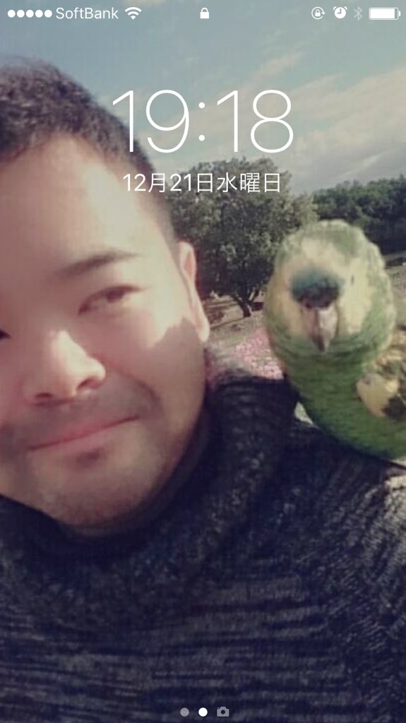 日本coser-いくみ – (193iKkyu3) [Twitter] (10.11.2022) [2476P116V-1.04GB]_第98集