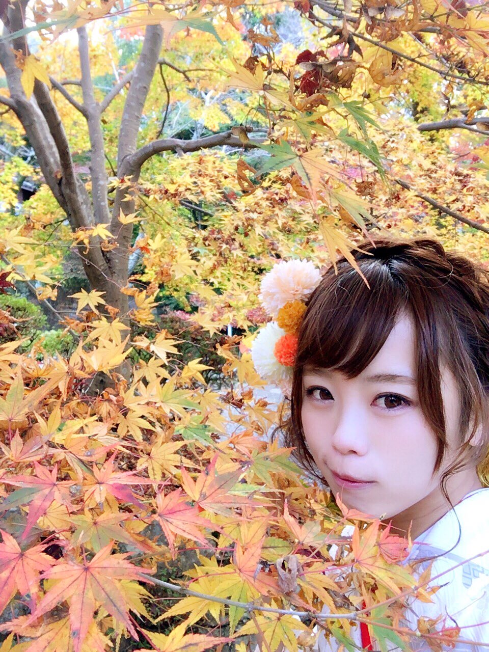 日本coser-いくみ – (193iKkyu3) [Twitter] (10.11.2022) [2476P116V-1.04GB]_第99集