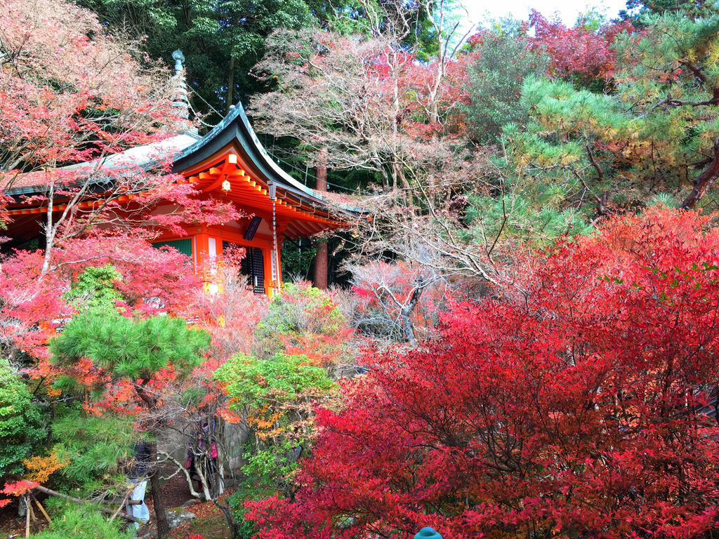 日本coser-いくみ – (193iKkyu3) [Twitter] (10.11.2022) [2476P116V-1.04GB]_第99集