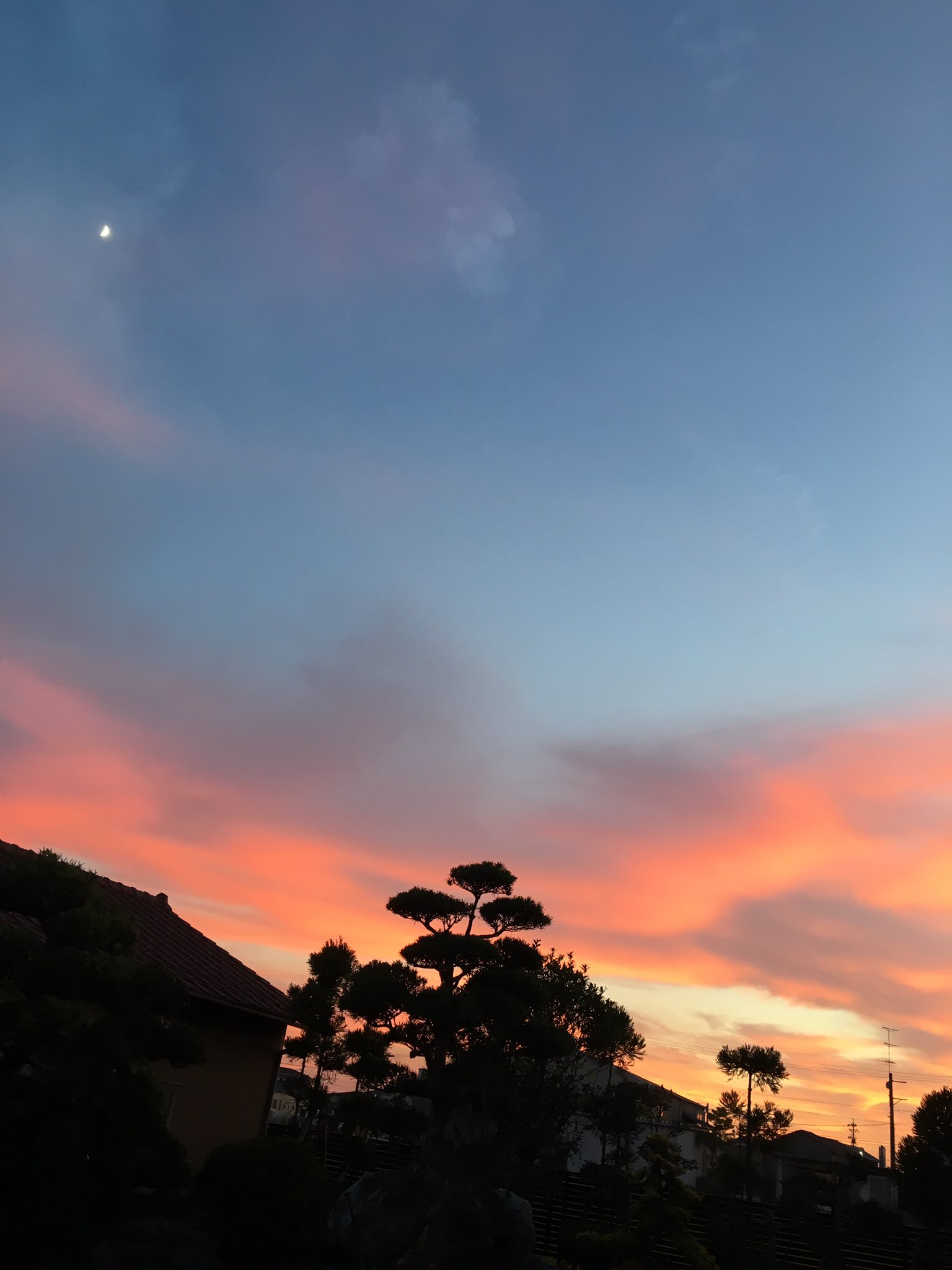 日本coser-いくみ – (193iKkyu3) [Twitter] (10.11.2022) [2476P116V-1.04GB]_第102集