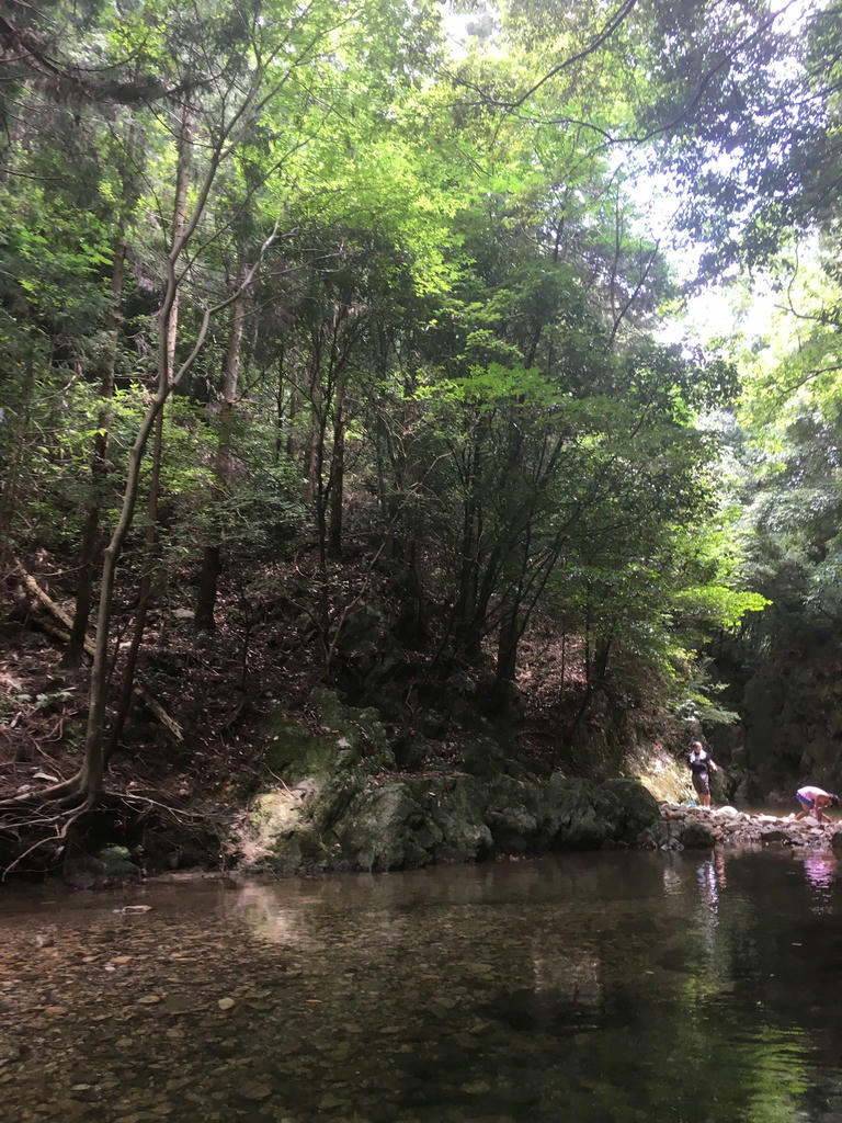 日本coser-いくみ – (193iKkyu3) [Twitter] (10.11.2022) [2476P116V-1.04GB]_第103集