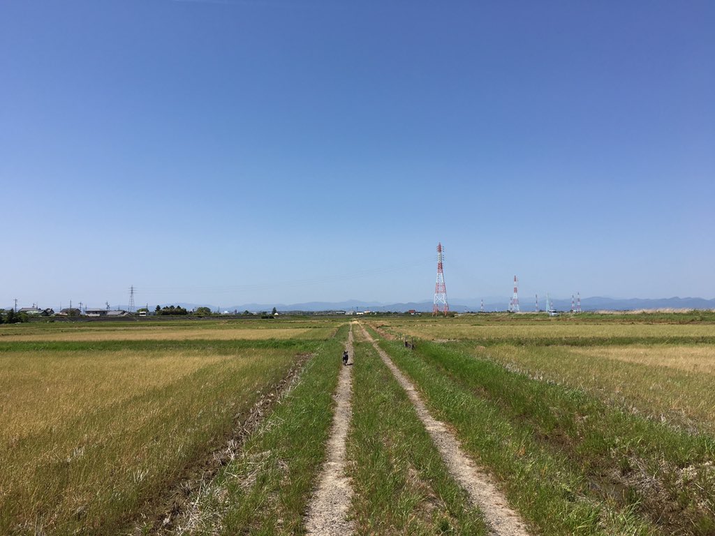 日本coser-いくみ – (193iKkyu3) [Twitter] (10.11.2022) [2476P116V-1.04GB]_第105集